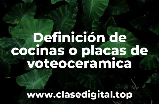 Definición de cocinas o placas de voteoceramica
