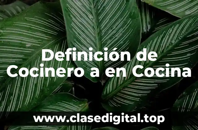 Definición de Cocinero a en Cocina