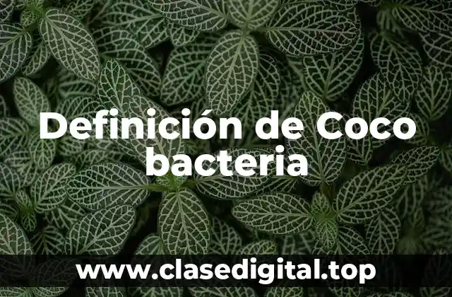 Definición de Coco bacteria