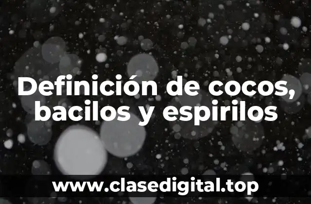 Definición de cocos, bacilos y espirilos