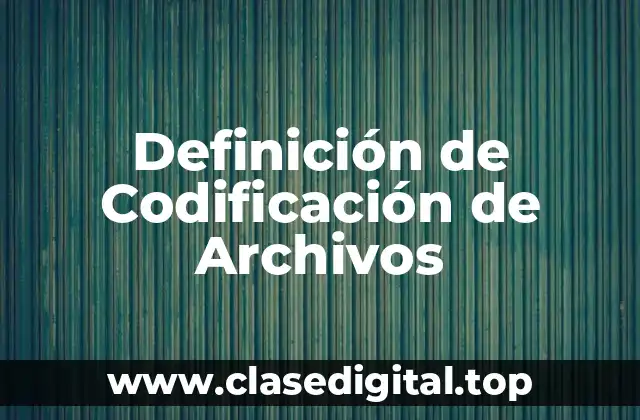 Definición de Codificación de Archivos