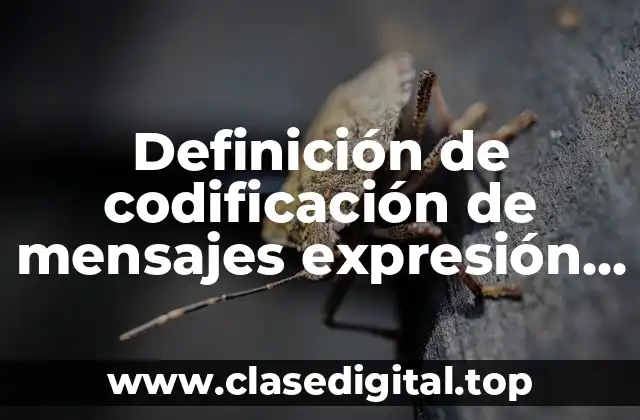 Definición de codificación de mensajes expresión oral y escrita
