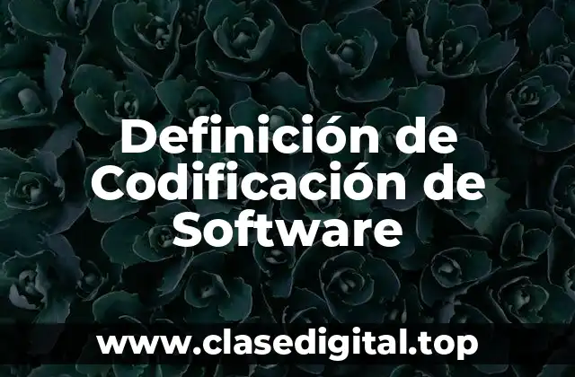 Definición de Codificación de Software