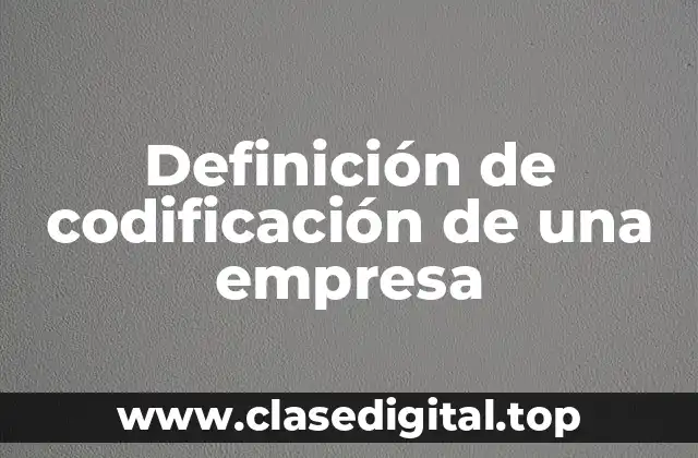 Definición de codificación de una empresa