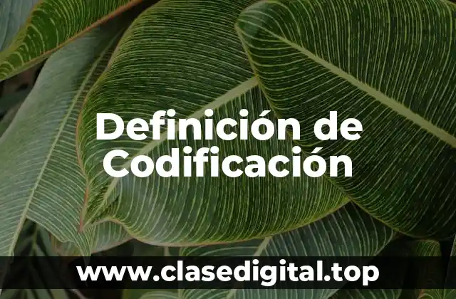 Definición de Codificación