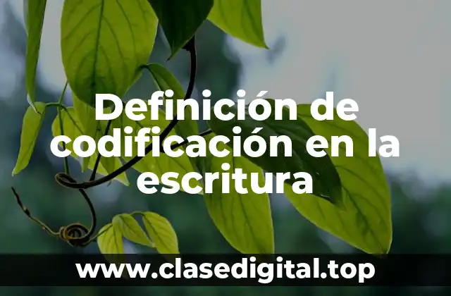 Definición de codificación en la escritura