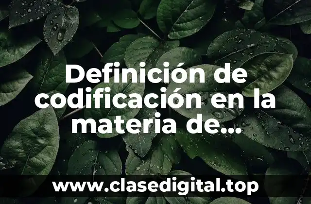 Definición de codificación en la materia de lingüística