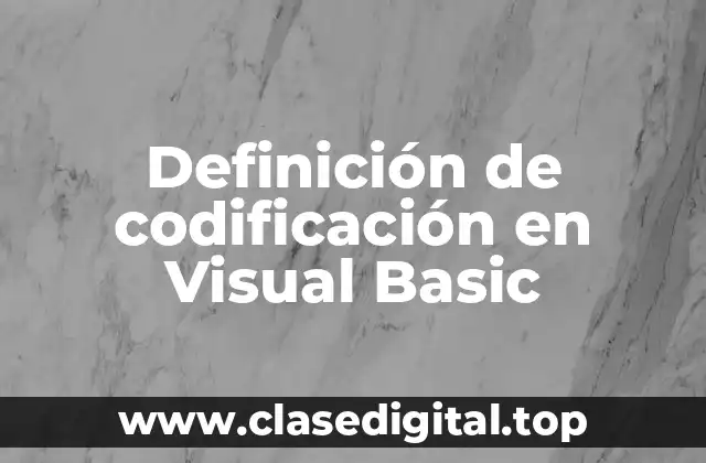 Definición de codificación en Visual Basic