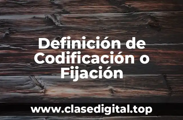 Definición de Codificación o Fijación