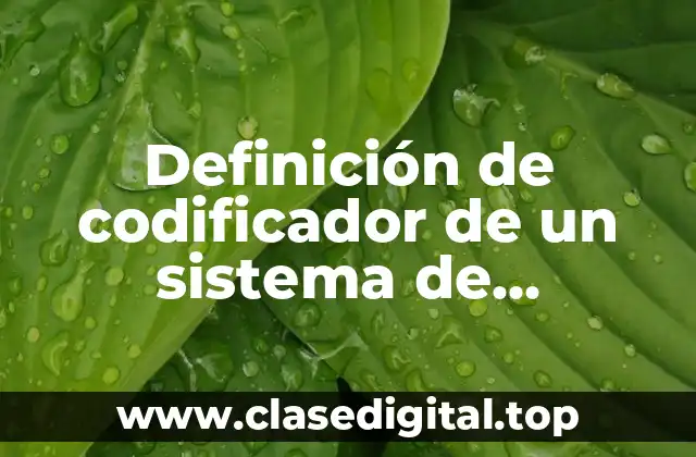 Definición de codificador de un sistema de comunicación