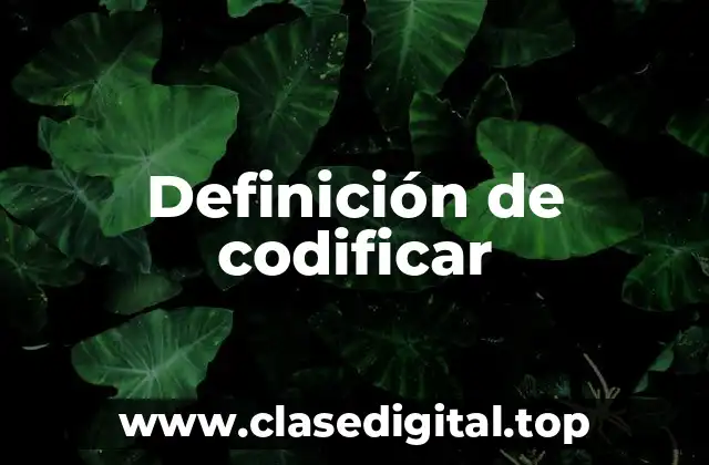 Definición de codificar