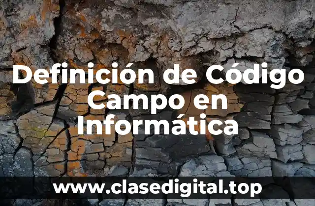 Definición de Código Campo en Informática