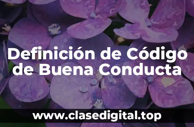 Ejemplos de Código de Buena Conducta