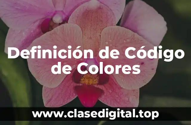 Definición de Código de Colores