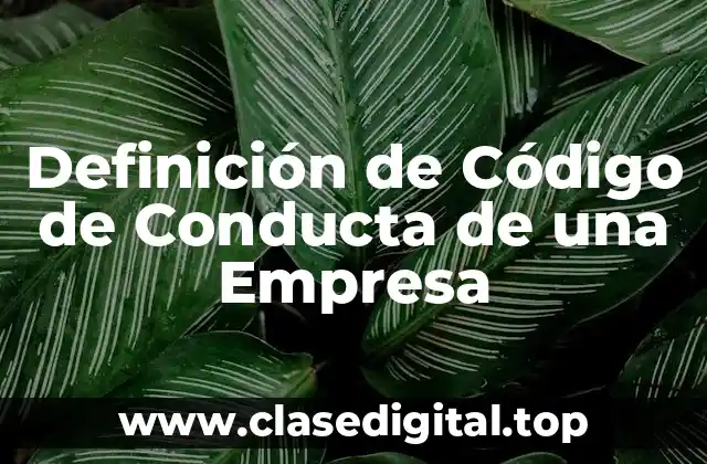 Definición de Código de Conducta de una Empresa