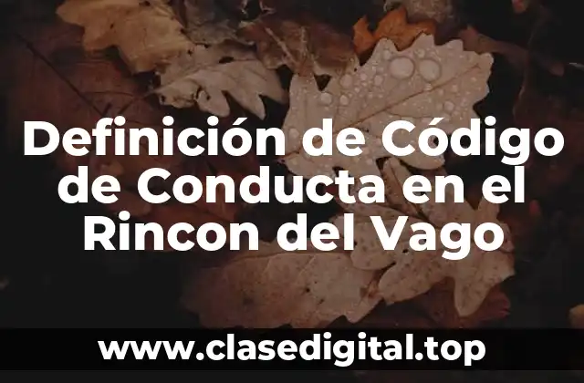 Definición de Código de Conducta en el Rincon del Vago