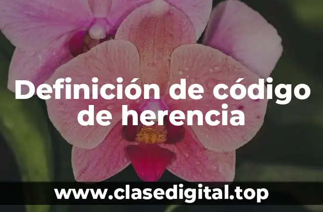 Definición de código de herencia