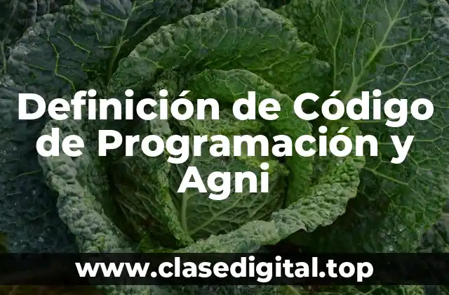 Definición de Código de Programación y Agni