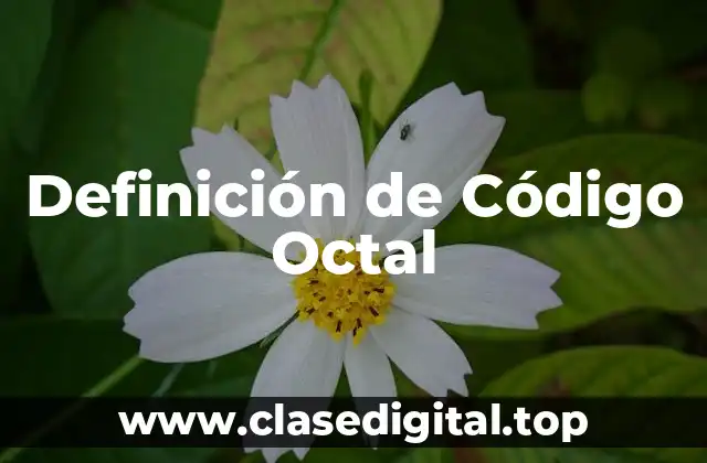 Definición de Código Octal