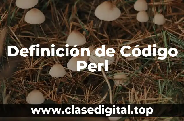 Definición de Código Perl