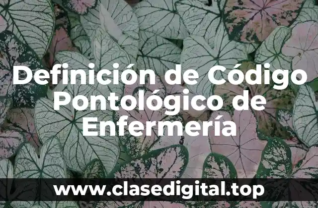 Definición técnica de Código Pontológico de Enfermería