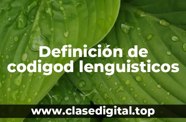 Definición de codigod lenguisticos
