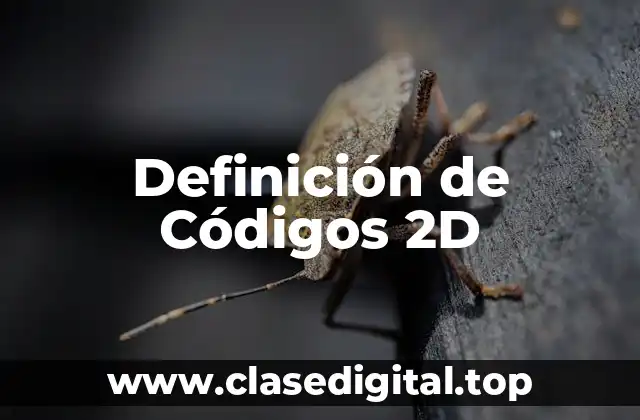Definición de Códigos 2D