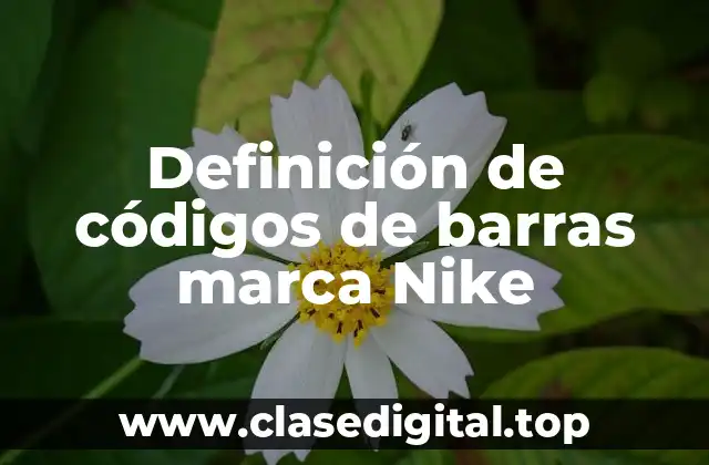 Definición de códigos de barras marca Nike