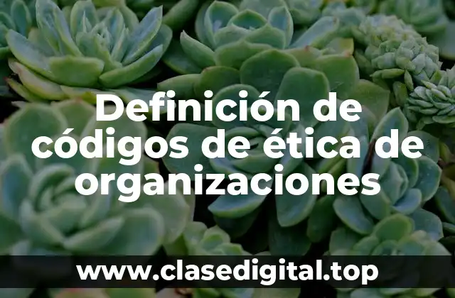 Definición de códigos de ética de organizaciones