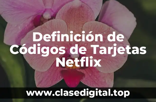 Definición de Códigos de Tarjetas Netflix