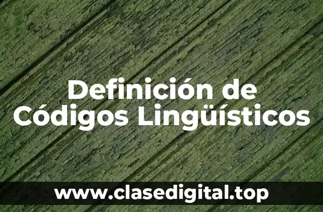 Definición de Códigos Lingüísticos