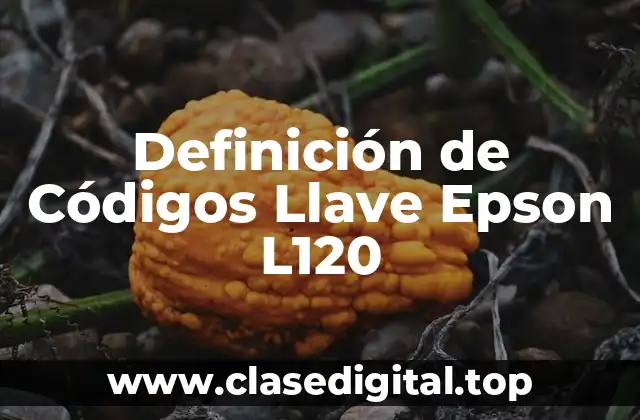 Definición de Códigos Llave Epson L120