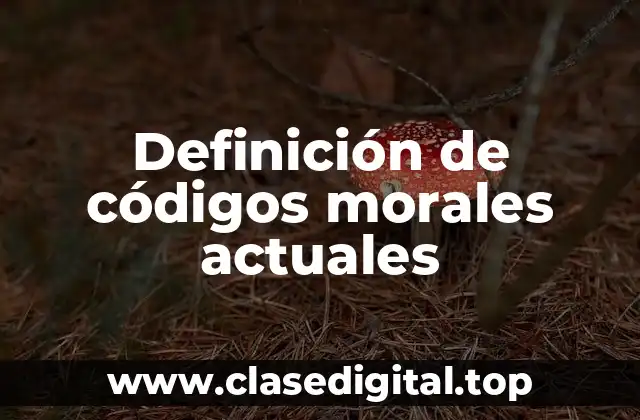 Definición de códigos morales actuales