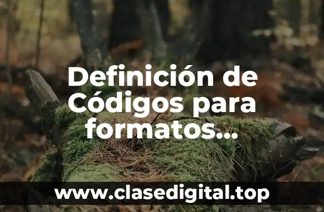 Definición de Códigos para formatos personalizados