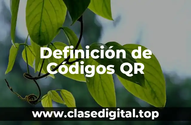 Definición técnica de Código QR