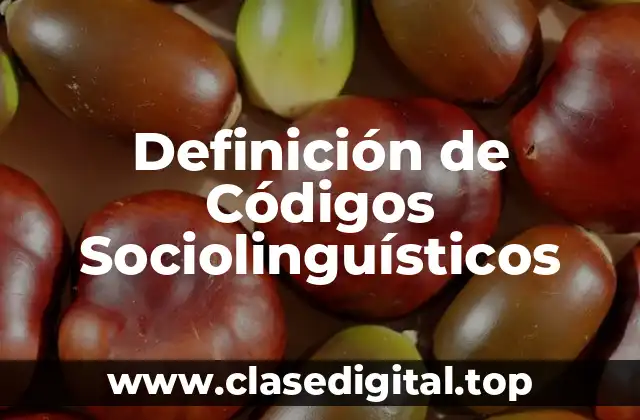 Definición de Códigos Sociolinguísticos