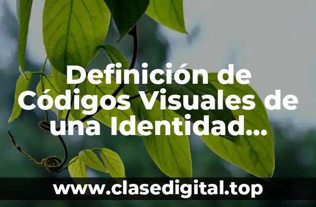 Definición de Códigos Visuales de una Identidad Corporativa
