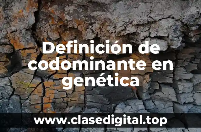 Definición de codominante en genética