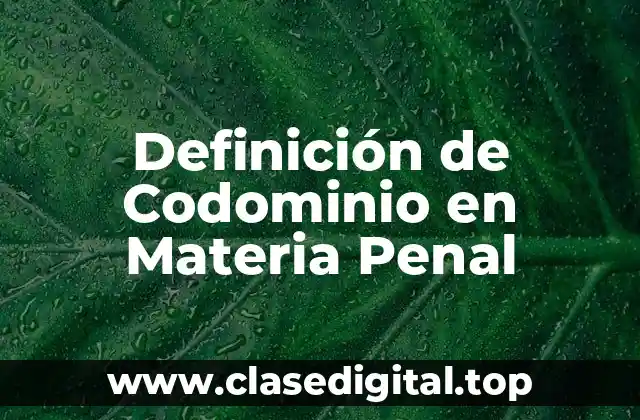 Definición de Codominio en Materia Penal