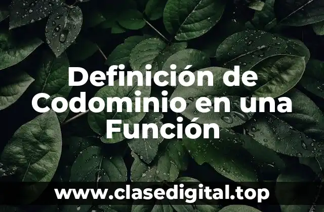 Definición de Codominio en una Función