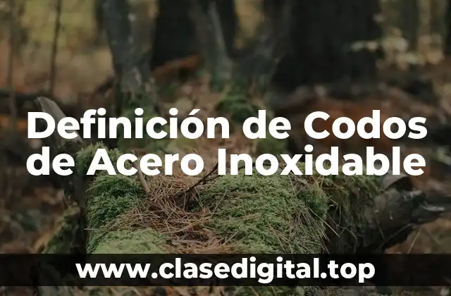 Definición de Codos de Acero Inoxidable