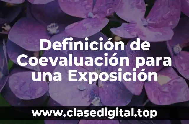 Definición de Coevaluación para una Exposición