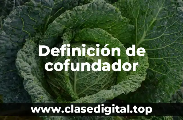 Definición de cofundador