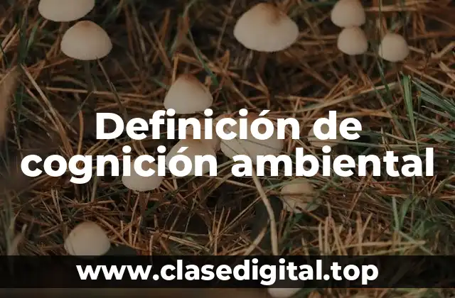 Definición de cognición ambiental