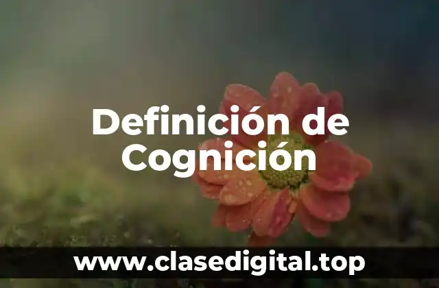 Definición de Cognición