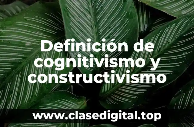 Ejemplos de cognitivismo y constructivismo