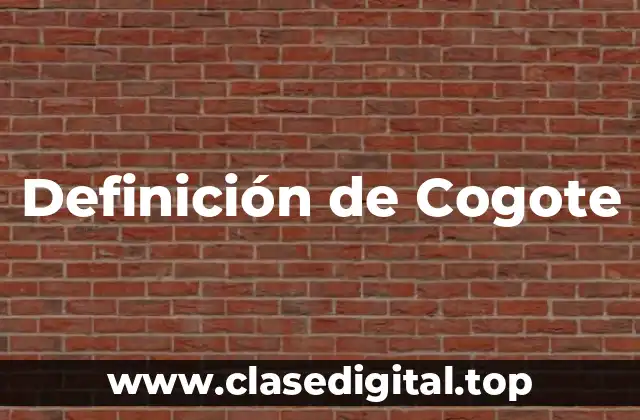 Definición de Cogote