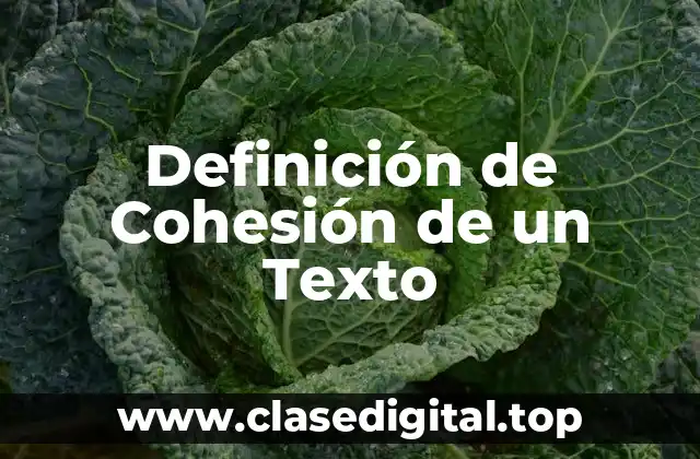 Definición de Cohesión de un Texto
