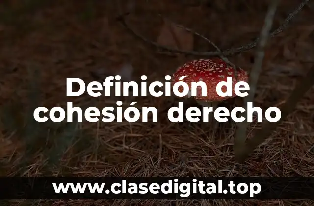 Ejemplos de cohesión derecho