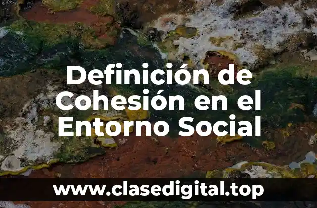 Definición de Cohesión en el Entorno Social